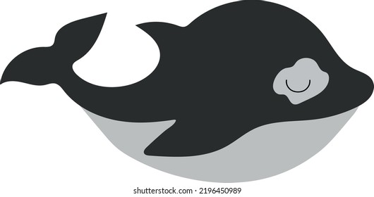 
Vector illustration of marine mammal animal