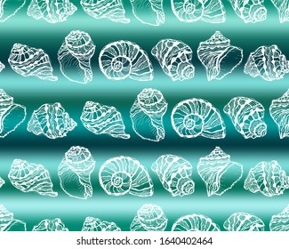 Vector illustration of marine seamless pattern.White hand drawing sea shells on abstract sea wave background