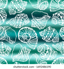 Vector illustration of marine seamless pattern.White hand drawing sea shells on abstract sea wave background