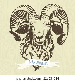Vector illustration Marker hand-drawn farm animals: ram (sheep). 
