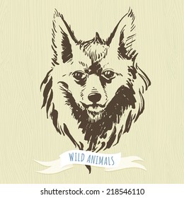 Vector illustration Marker hand-drawn forest animals: fox