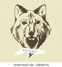 Vector illustration Marker hand-drawn forest animals: wolf