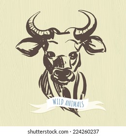 Vector illustration Marker hand-drawn forest animals: bull