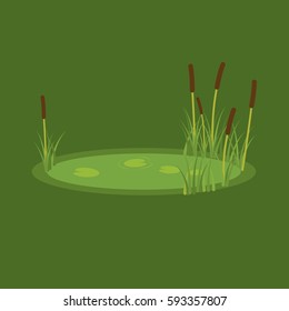 vector illustration of the marsh, reeds and water lilies on a green background.