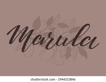 Ilustración vectorial de Marula con letras de pincel manuscritas. Logotipo, etiqueta, pancarta o plantilla de afiches para productos con aceites esenciales o cosméticos orgánicos. EPS10