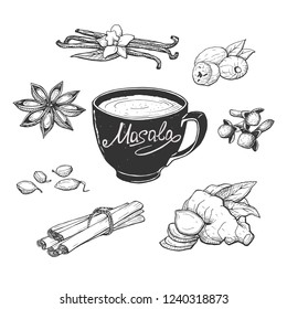 Vector illustration of masala milk tea cup and spices. Anise, clove, vanilla, cardamom, cinnamon sticks, ginger, nutmeg. Hand drawn engraving style.