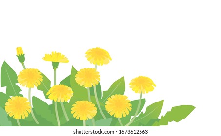 Vector Illustration | Masses of dandelions