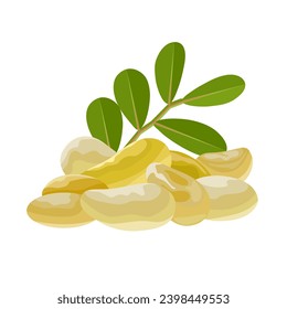 Vector illustration, mastic gum, a resin obtained from the mastic tree or Pistacia lentiscus, also known as tears of Chios, isolated on white background.