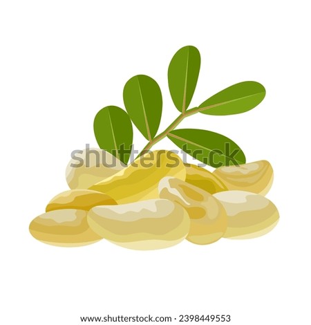 Vector illustration, mastic gum, a resin obtained from the mastic tree or Pistacia lentiscus, also known as tears of Chios, isolated on white background.
