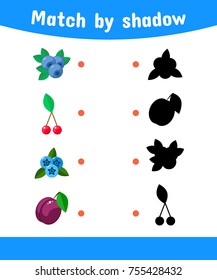 vector illustration. Matching game for children. Connect the shadow of the berries. cloudberries, blueberry, cherry, plum