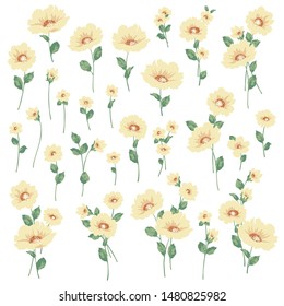 Vector illustration material of a beautiful flower