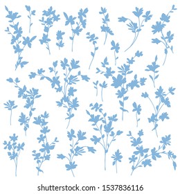 Vector illustration material of a beautiful flower