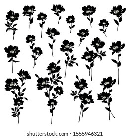 Vector illustration material of a beautiful flower,