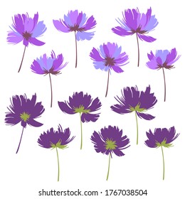 Vector illustration material of a beautiful flower,