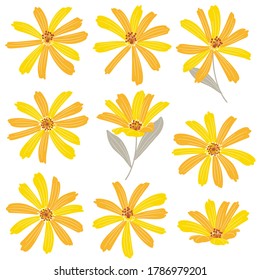 Vektorgrafik-Material einer schönen Blume,