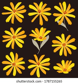 Vector illustration material of a beautiful flower,