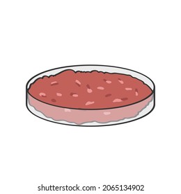 Vector illustration material of cultured meat on a Petri dish.