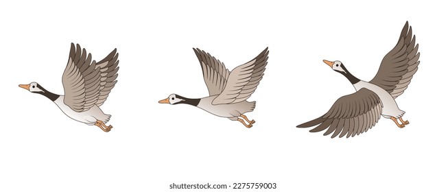 Vector illustration material of flying wild geese