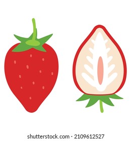 Vector illustration material of one strawberry and cross section of strawberry.