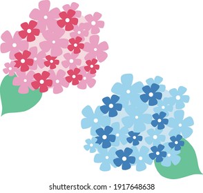 Vector illustration material of red and blue hydrangea