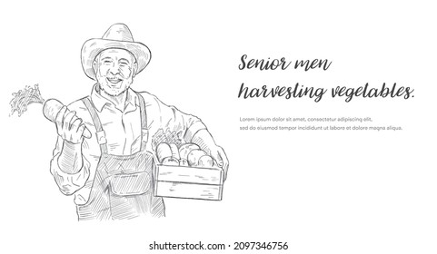 Vector Illustration Material: Senior man harvesting vegetables