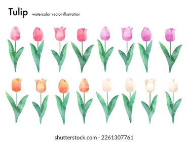 Vector illustration material of tulips.