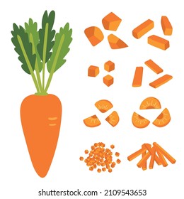 Premium Vector  Carrot cut in sticks dice and slice food cooking concept  illustration