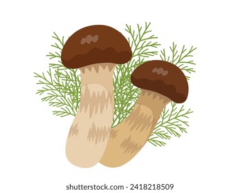 Vector illustration of matsutake mushroom