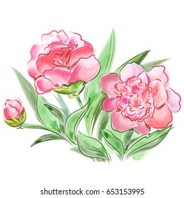  Vector illustration meadow flowers peonies  isolated on  white background