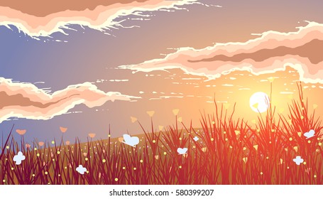 Vector illustration. Meadows and flowers at sunset.