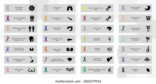 vector illustration for meanings of cancer ribbons color awareness symbols and remembrance of victims