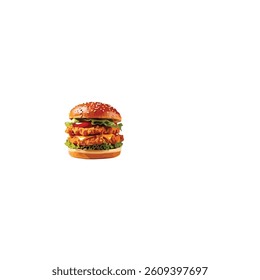 Vector Illustration of  meat  burger and fast  food