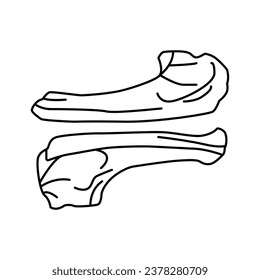 Vector illustration of meat Meat outline icons set. 