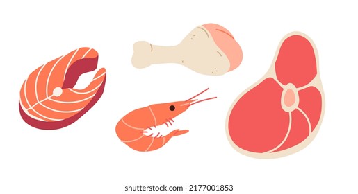 Vector illustration of meat. Protein foods: chicken drumstick, steak, shrimp and salmon