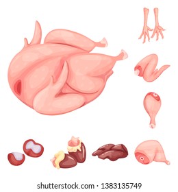 Vector illustration of meat and raw icon. Set of meat and grilled stock symbol for web.