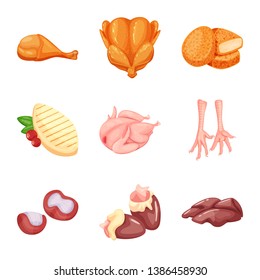 Vector illustration of meat and raw icon. Collection of meat and grilled vector icon for stock.