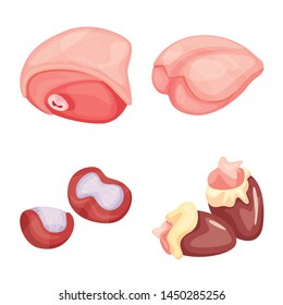 Vector illustration of meat and raw icon. Collection of meat and grilled stock vector illustration.