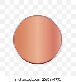 Vector illustration medal bronze 3d realistic editable