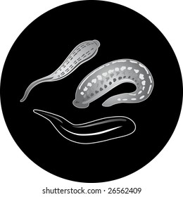 Vector. Ilustración de la lealtad médica.