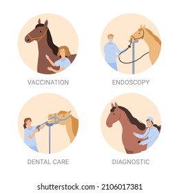 vector illustration, medical procedures for horses like vaccination, endoscopy, dental care and diagnostic