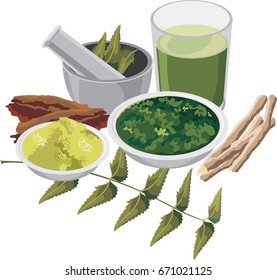 Vector illustration of Medicinal Ayurvedic Azadirachta indica or Neem leaves in mortar and pestle with neem paste, juice and twigs, powder and oil, selective focus