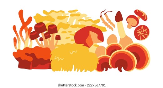 Vector illustration of medicinal mushrooms.