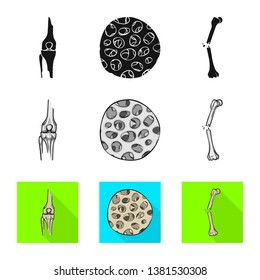 Vector illustration of medicine and clinic symbol. Set of medicine and medical stock vector illustration.