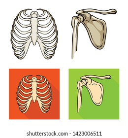 Vector illustration of medicine and clinic symbol. Set of medicine and medical stock symbol for web.