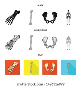 Vector illustration of medicine and clinic symbol. Collection of medicine and medical stock vector illustration.