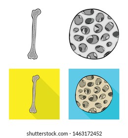 Vector illustration of medicine and clinic symbol. Set of medicine and medical stock vector illustration.