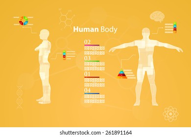 Vector illustration of medicine infographics. Schematic description of the human body.