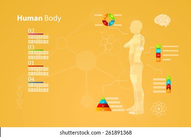 Vector illustration of medicine infographics. Schematic description of the human body.