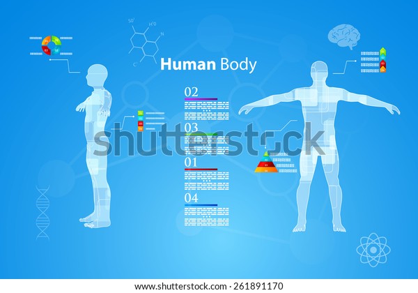 Vector Illustration Medicine Infographics Schematic Description Stock ...