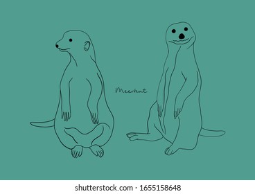 Vector Illustration of Meerkat / Suricate